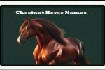 Chestnut Horse Names-