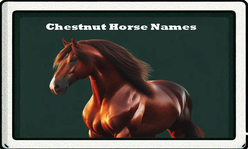 Chestnut Horse Names-