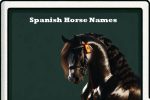 Spanish-Horse-Names-