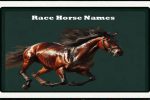 race-horse-names-