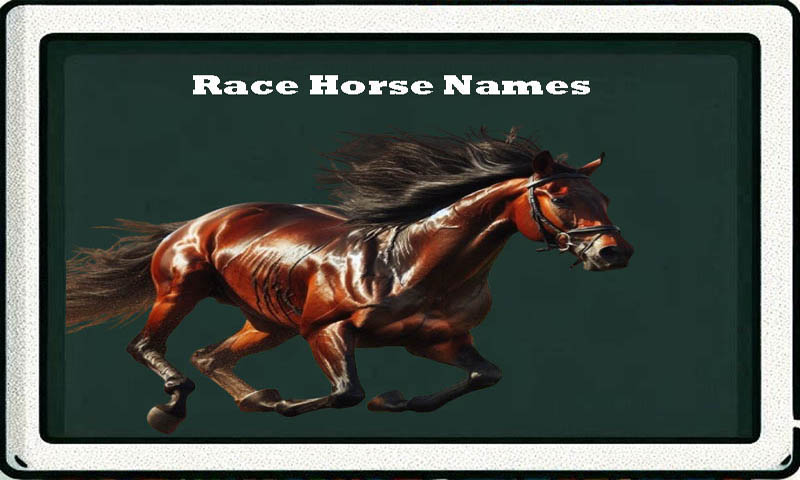 race-horse-names-