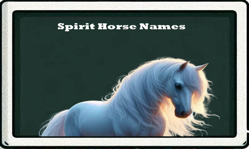 spirit-horse-name-