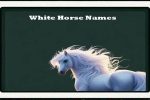 white-horse-names