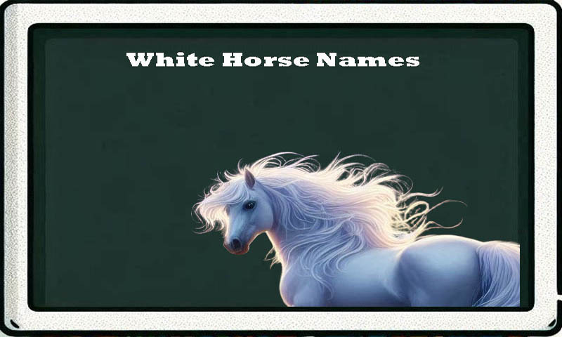 white-horse-names