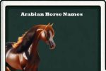 Arabian Horse Names