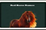 Red Horse Names-