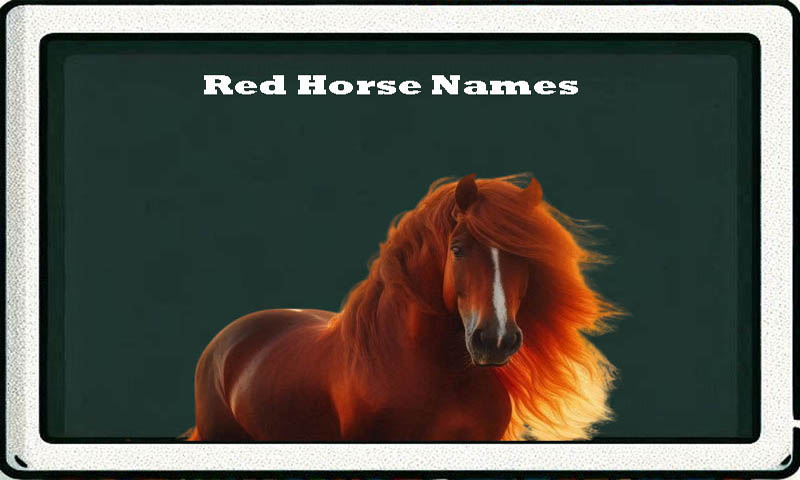 Red Horse Names-