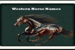 western-horse-name-