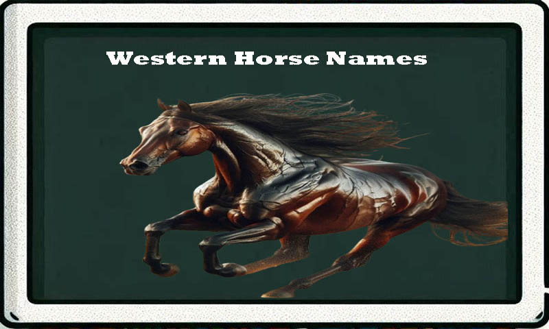 western-horse-name-