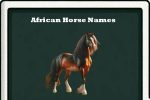 African horse names