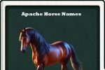 Apache Horse Names