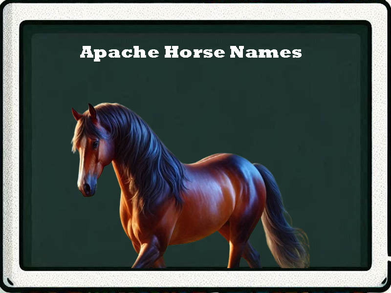 Apache Horse Names