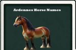 Ardennes horse names