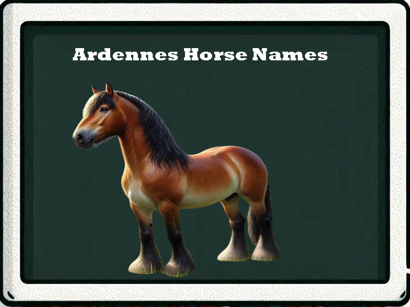 Ardennes horse names