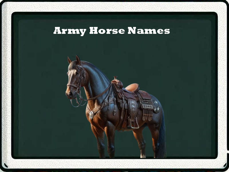 Army horse names