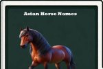 Asian Horse Names