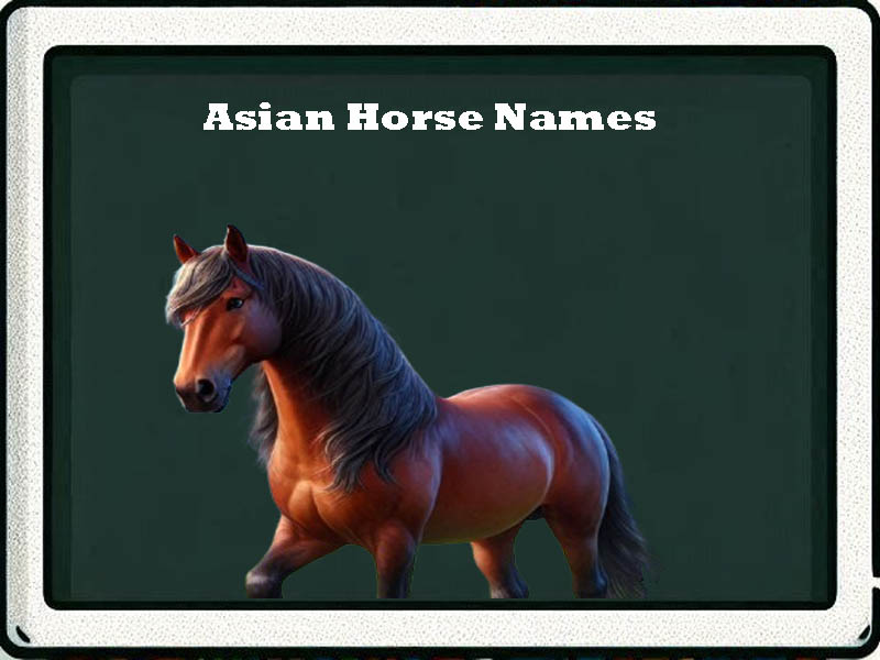 Asian Horse Names