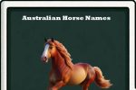 Australian Horse Names