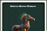 Azteca Horse Names