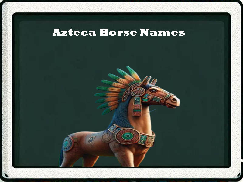 Azteca Horse Names