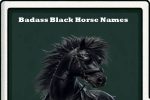 Badass Black horse names