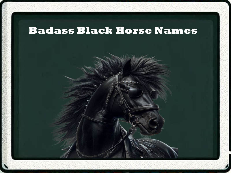 Badass Black horse names