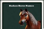 Badass Horse Names