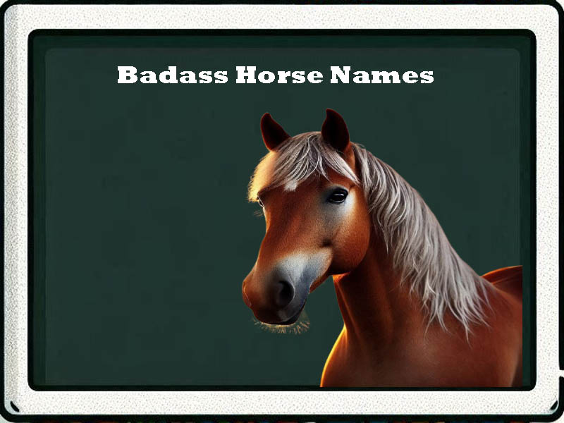 Badass Horse Names