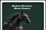 Badass Western horse names