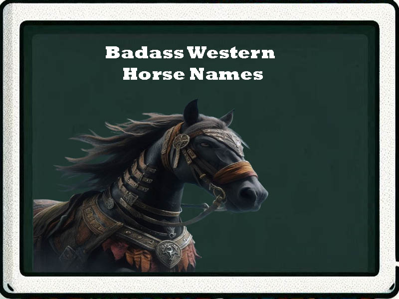 Badass Western horse names