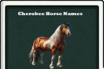 Cherokee Horse Names