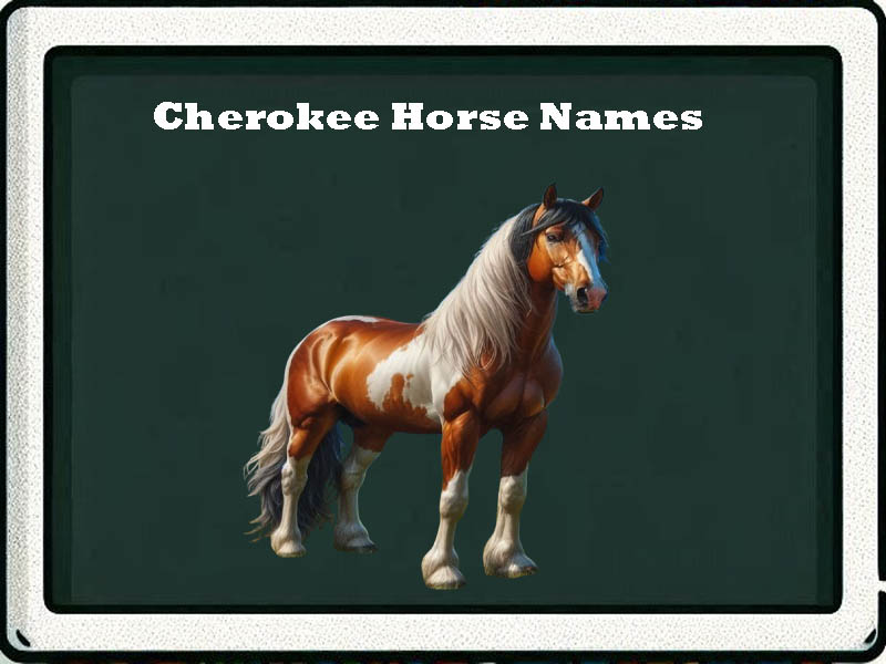 Cherokee Horse Names