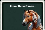 Clever horse names