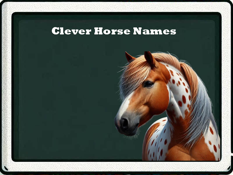 Clever horse names