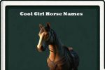 Cool Girl horse names