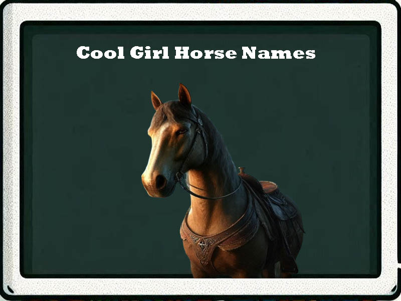 Cool Girl horse names