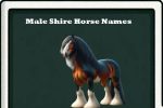 Male shire Horse Names