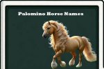 Palomino horse names