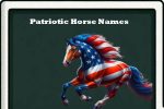 Patriotic horse names