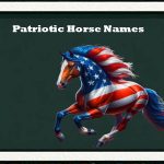 Patriotic horse names