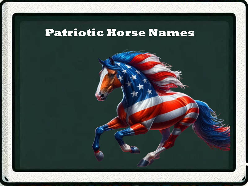 Patriotic horse names