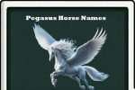 Pegasus Horse Names