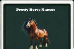 Pretty Horse Names