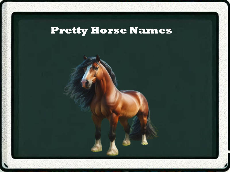 Pretty Horse Names