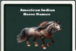 american indian horse names