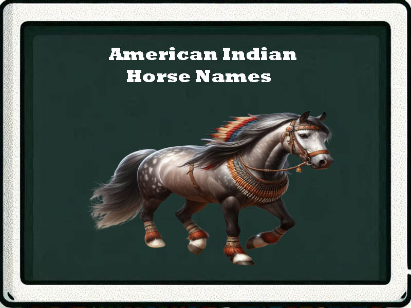 american indian horse names