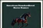 american standardbred horse names