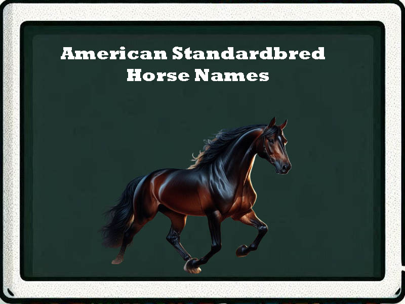 american standardbred horse names