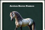 areion horse names