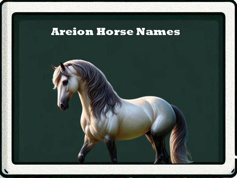 areion horse names